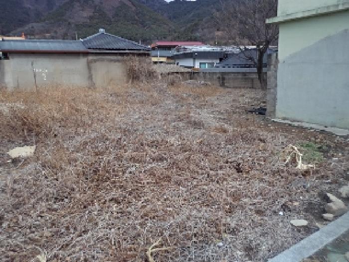 2025타경223 법원경매 사진9 | 경남 창녕군 대지 경매