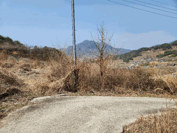 법원경매 2025타경285 사진3 | 밀양시 상동면 신곡리 777 답 경매
