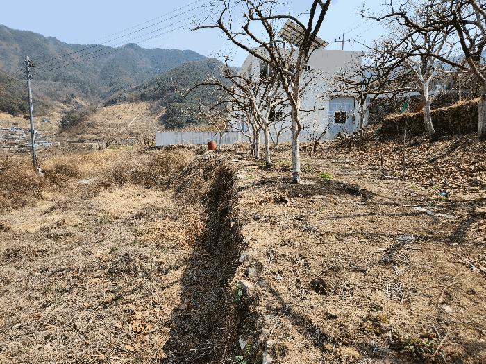 법원경매 2025타경285 사진6 | 밀양시 상동면 신곡리 777 답 경매