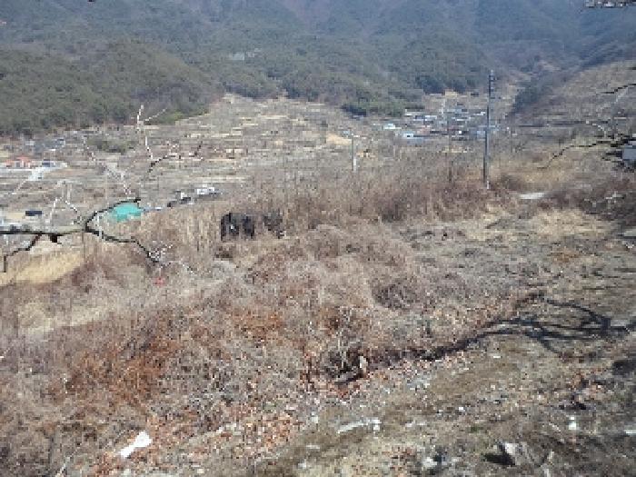 법원경매 2025타경285 사진9 | 밀양시 상동면 신곡리 777 답 경매