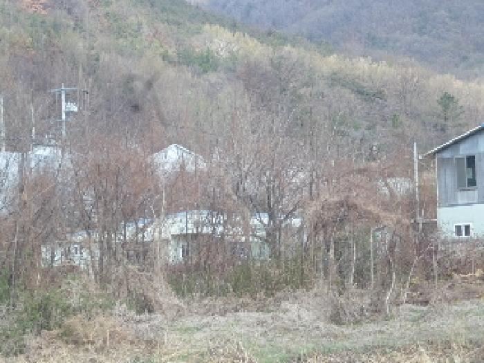 2025타경315 법원경매 사진3 | 경남 밀양시 전 경매