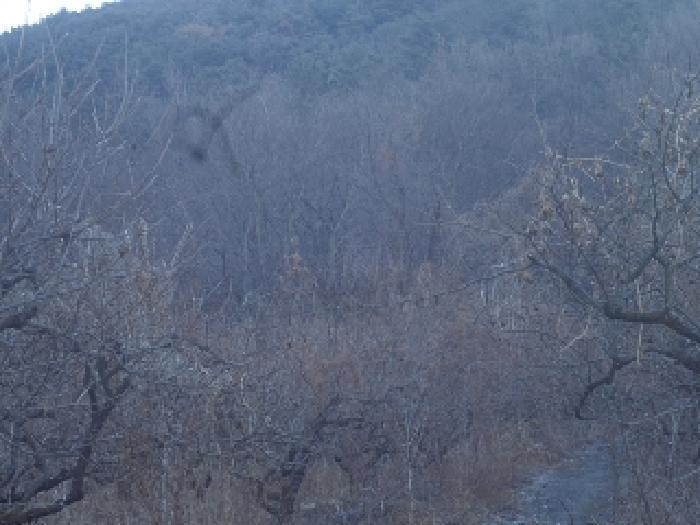 경남 창녕군 길곡면 길곡리 1241-6 전 사진 4