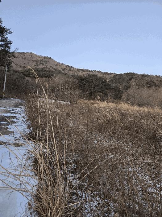 2024타경6792 법원경매 사진5 | 경남 산청군 임야 경매