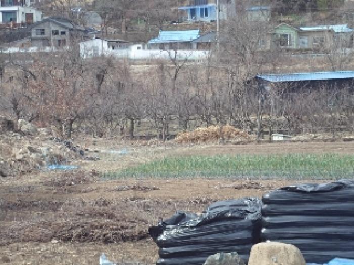 2025타경10249 법원경매 사진22 | 경남 밀양시 전 경매