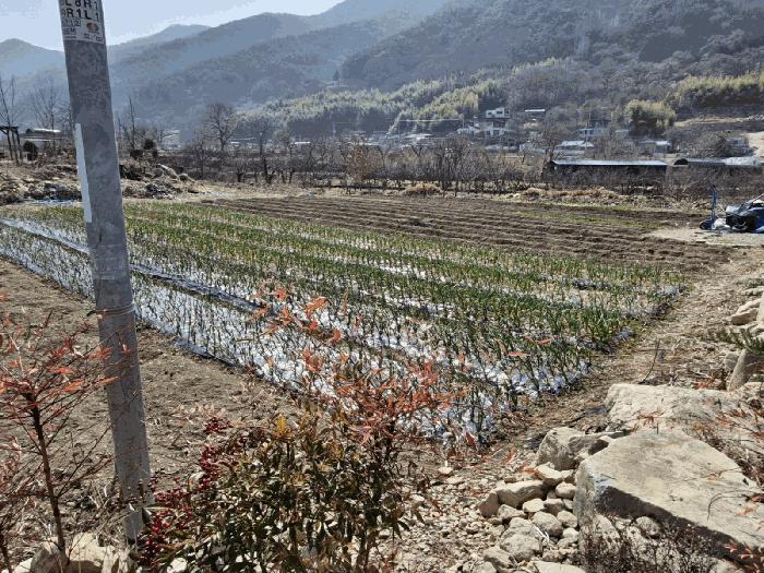 2025타경10249 법원경매 사진8 | 경남 밀양시 전 경매