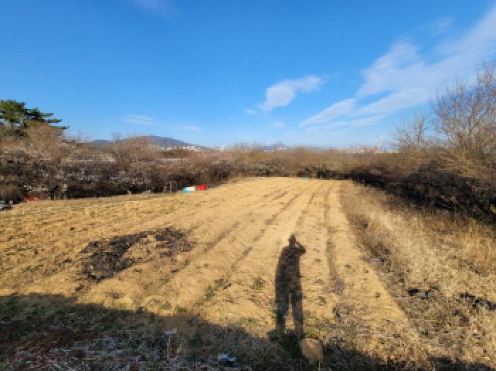 2025타경362 법원경매 사진30 | 전남 광양시 임야 경매