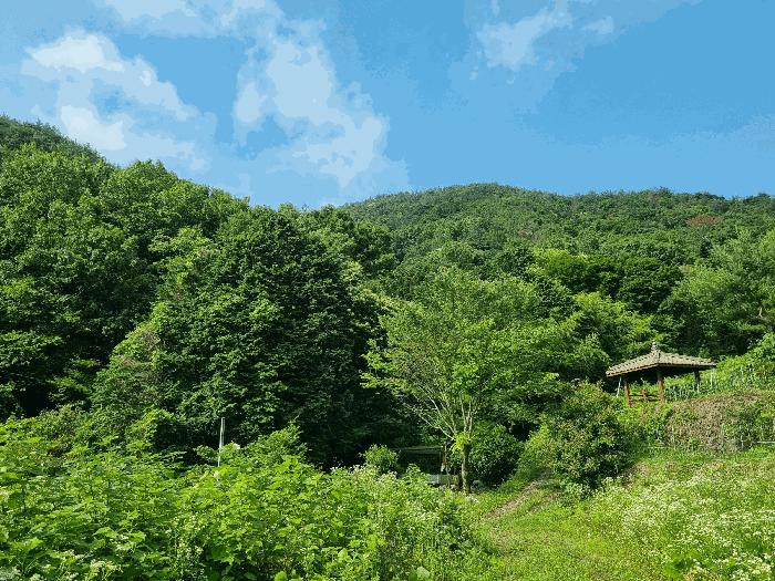2025타경51594 법원경매 사진2 | 전남 여수시 임야 경매