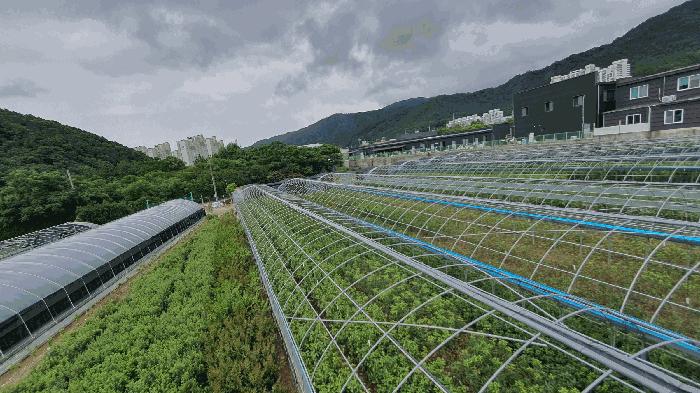 2025타경51771 법원경매 사진18 | 전남 순천시 답 경매