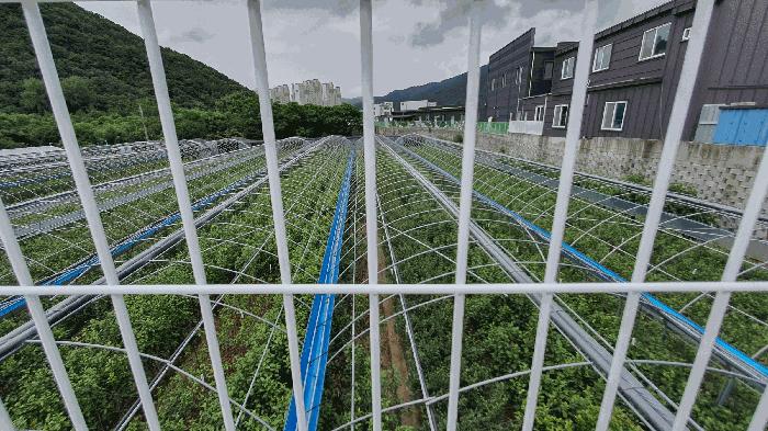 2025타경51771 법원경매 사진7 | 전남 순천시 답 경매