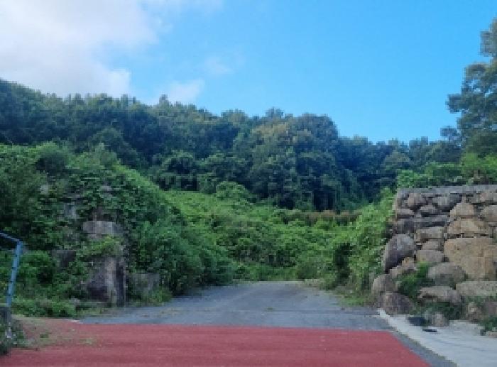 2025타경51869 법원경매 사진10 | 전남 순천시 임야 경매