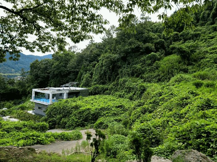 2025타경51869 법원경매 사진6 | 전남 순천시 임야 경매