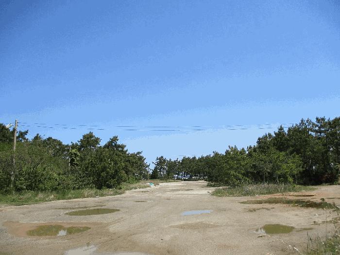 2025타경51026 법원경매 사진3 | 전남 무안군 잡종지 경매