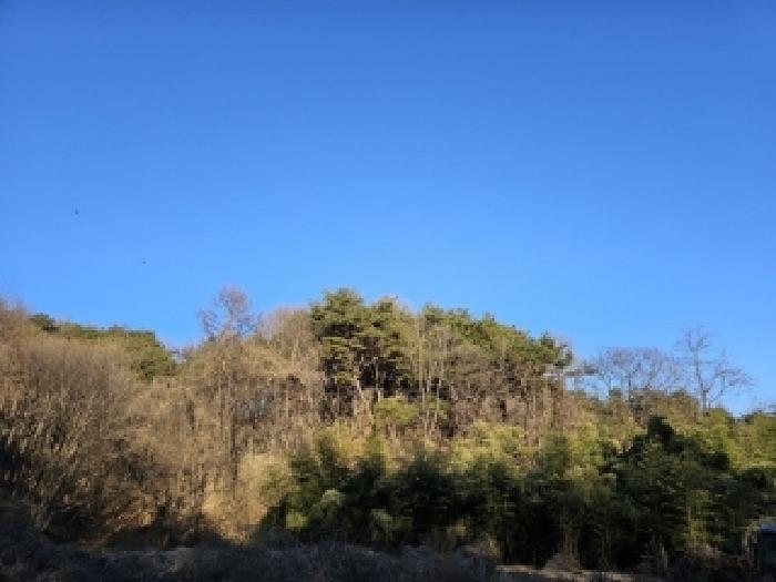 법원경매 2025타경10068 사진16 | 영주시 안정면 묵리 임야 경매