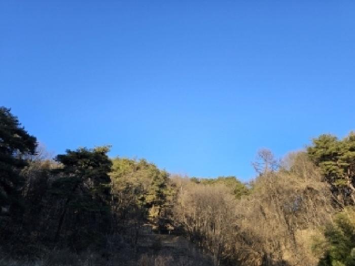 법원경매 2025타경10068 사진17 | 영주시 안정면 묵리 임야 경매