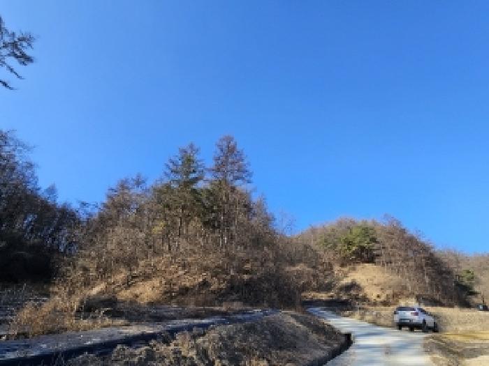 법원경매 2025타경10068 사진8 | 영주시 안정면 묵리 임야 경매