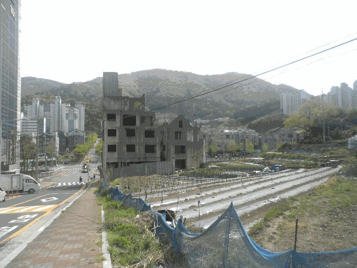 2025타경21201 법원경매 사진3 | 경남 거제시 단독주택 경매