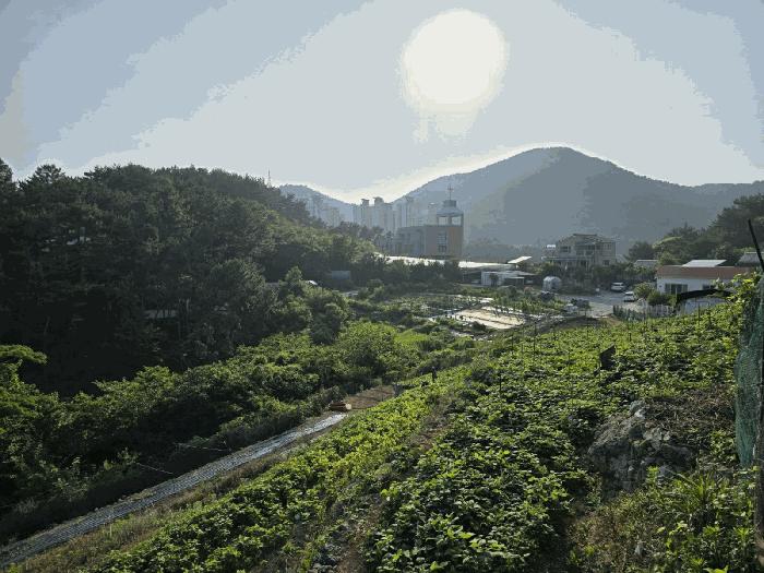 2025타경21374 법원경매 사진48 | 경남 통영시 주택건물 경매