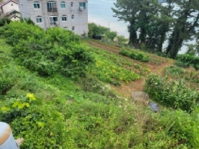 경상남도 통영시 용남면 장평리 937 법원경매 물건 대표사진