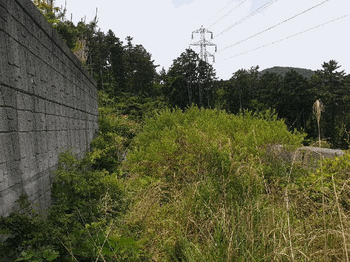 2025타경21443 법원경매 사진13 | 경남 거제시 임야 경매