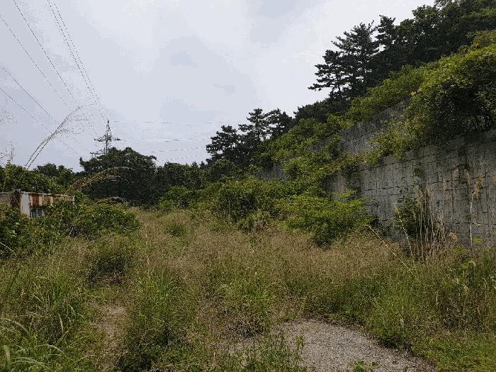 2025타경21443 법원경매 사진2 | 경남 거제시 임야 경매