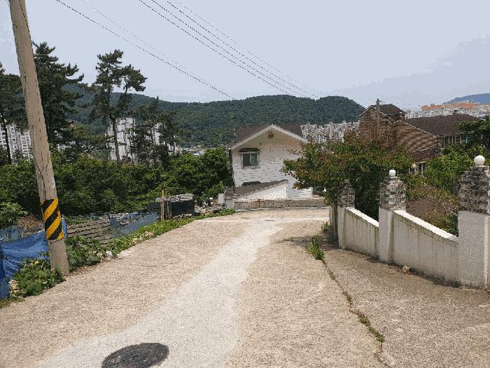 2025타경21443 법원경매 사진6 | 경남 거제시 임야 경매