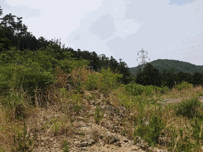2025타경21443 법원경매 사진7 | 경남 거제시 임야 경매
