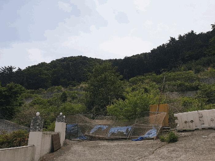 2025타경21443 법원경매 사진8 | 경남 거제시 임야 경매