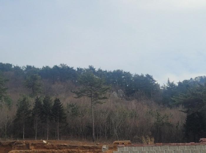 2025타경138 법원경매 사진5 | 경남 통영시 임야 경매