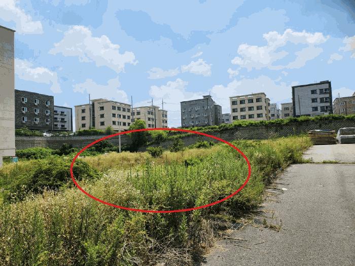 2025타경622 법원경매 사진3 | 충남 아산시 대지 경매