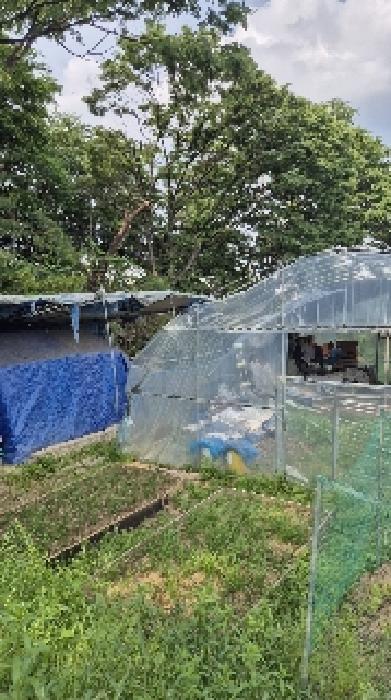 법원경매 2025타경102817 사진13 | 서울 강남구 자곡동 215 답 경매