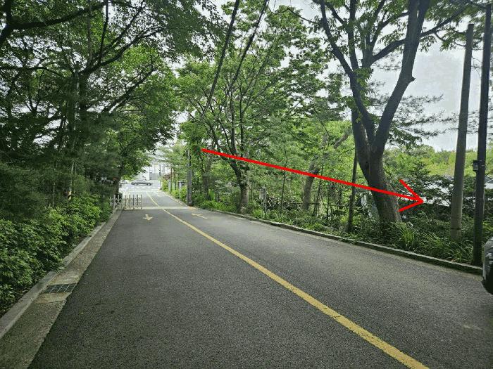 법원경매 2025타경102817 사진5 | 서울 강남구 자곡동 215 답 경매