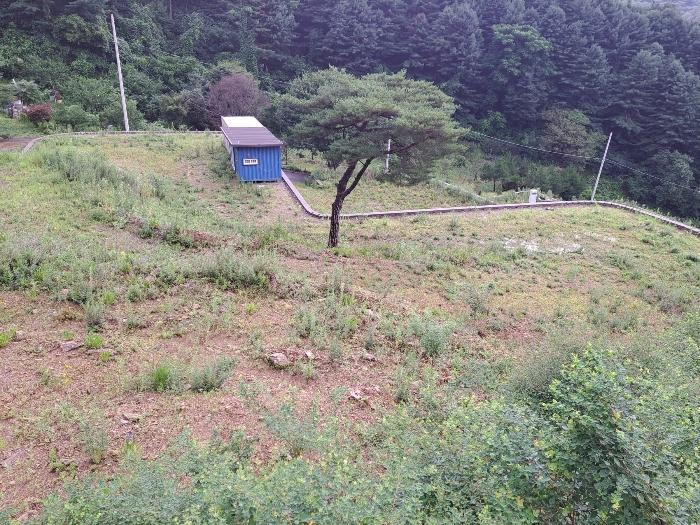 법원경매 2024타경3791 사진10 | 가평군 설악면 회곡리 471-8 임야 경매
