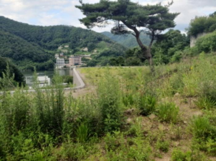 법원경매 2024타경3791 사진20 | 가평군 설악면 회곡리 471-8 임야 경매