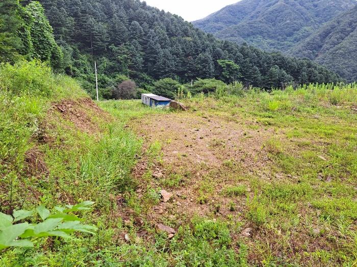 법원경매 2024타경3791 사진5 | 가평군 설악면 회곡리 471-8 임야 경매