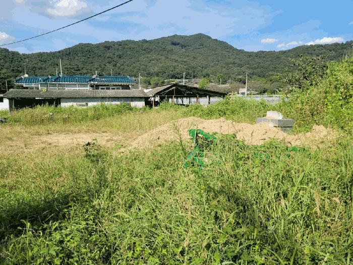 법원경매 2025타경31684 사진10 | 성주군 월항면 대산리 167-1 전 경매