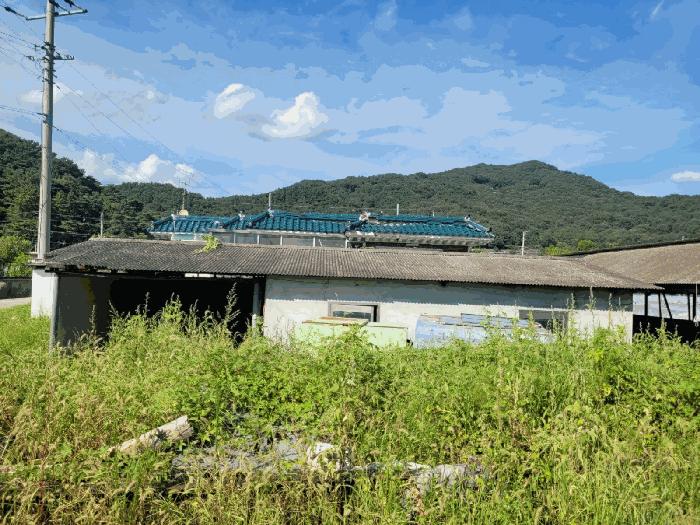 법원경매 2025타경31684 사진12 | 성주군 월항면 대산리 167-1 전 경매