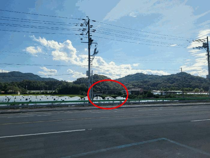 법원경매 2025타경31684 사진23 | 성주군 월항면 대산리 167-1 전 경매