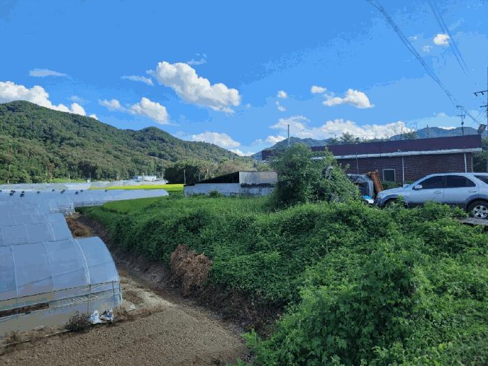 법원경매 2025타경31684 사진24 | 성주군 월항면 대산리 167-1 전 경매