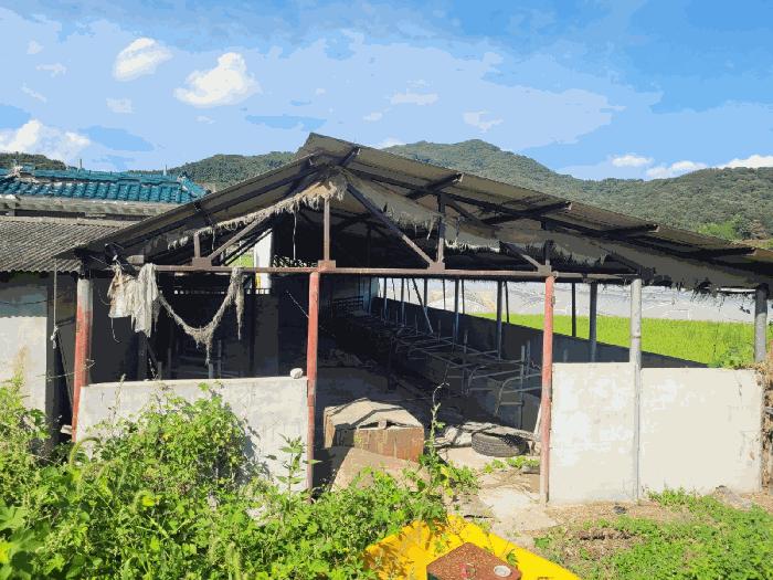 법원경매 2025타경31684 사진4 | 성주군 월항면 대산리 167 주택건물 경매