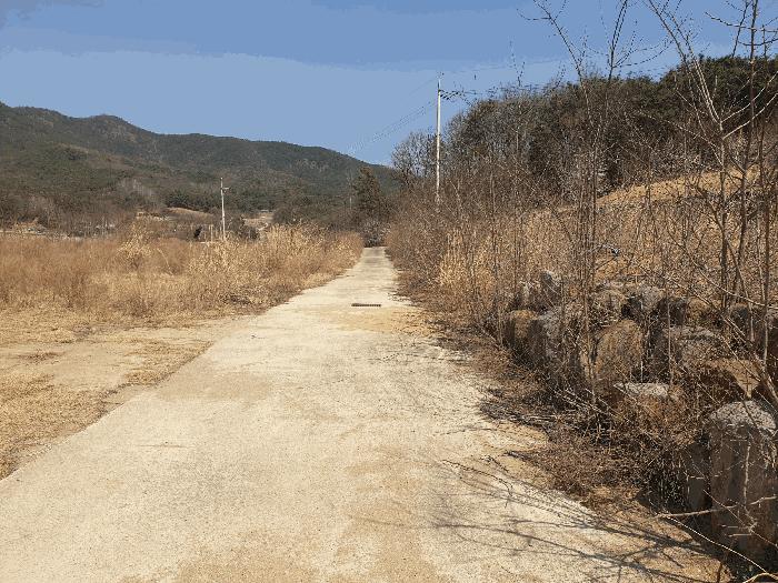 법원경매 2025타경10885 사진2 | 구미시 해평면 도문리 65-2 임야 경매