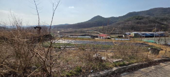 법원경매 2025타경10885 사진9 | 구미시 해평면 도문리 65-2 임야 경매