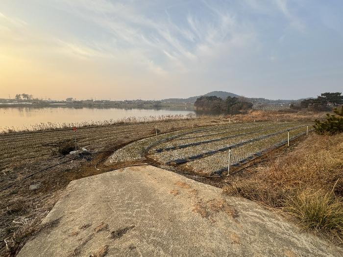 2024타경5375 법원경매 사진2 | 충남 서산시 전 경매