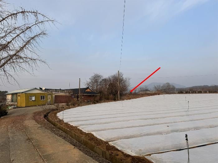 2024타경5375 법원경매 사진3 | 충남 서산시 전 경매
