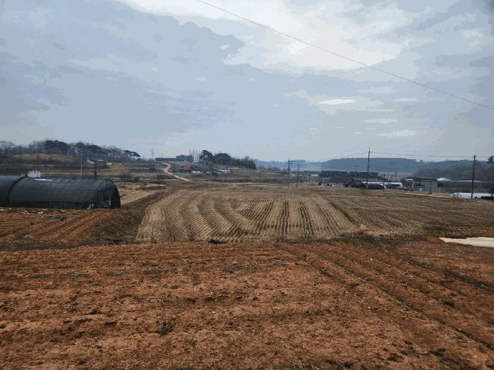 2025타경536 법원경매 사진3 | 충남 당진시 답 경매