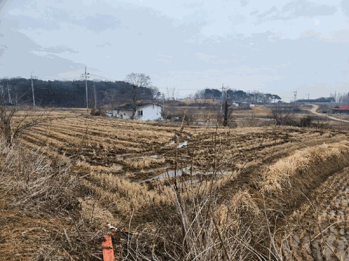 2025타경536 법원경매 사진4 | 충남 당진시 답 경매