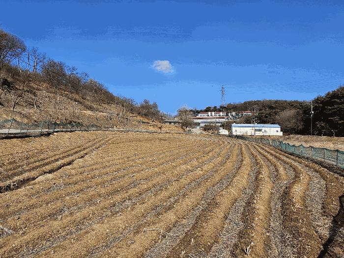 2025타경50957 법원경매 사진3 | 충남 당진시 전 경매