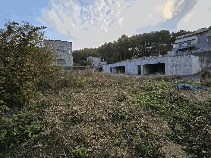 법원경매 2025타경3094 사진3 | 고양시 일산동구 성석동 113-28 임야 경매
