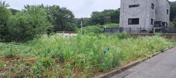 법원경매 2025타경3094 사진5 | 고양시 일산동구 성석동 113-28 임야 경매