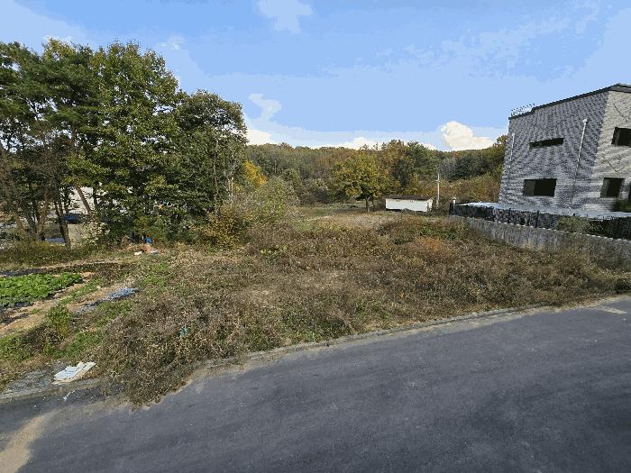법원경매 2025타경3094 사진9 | 고양시 일산동구 성석동 113-28 임야 경매