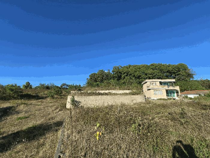 법원경매 2025타경61847 사진4 | 파주시 파주읍 파주리 205-8 전 경매